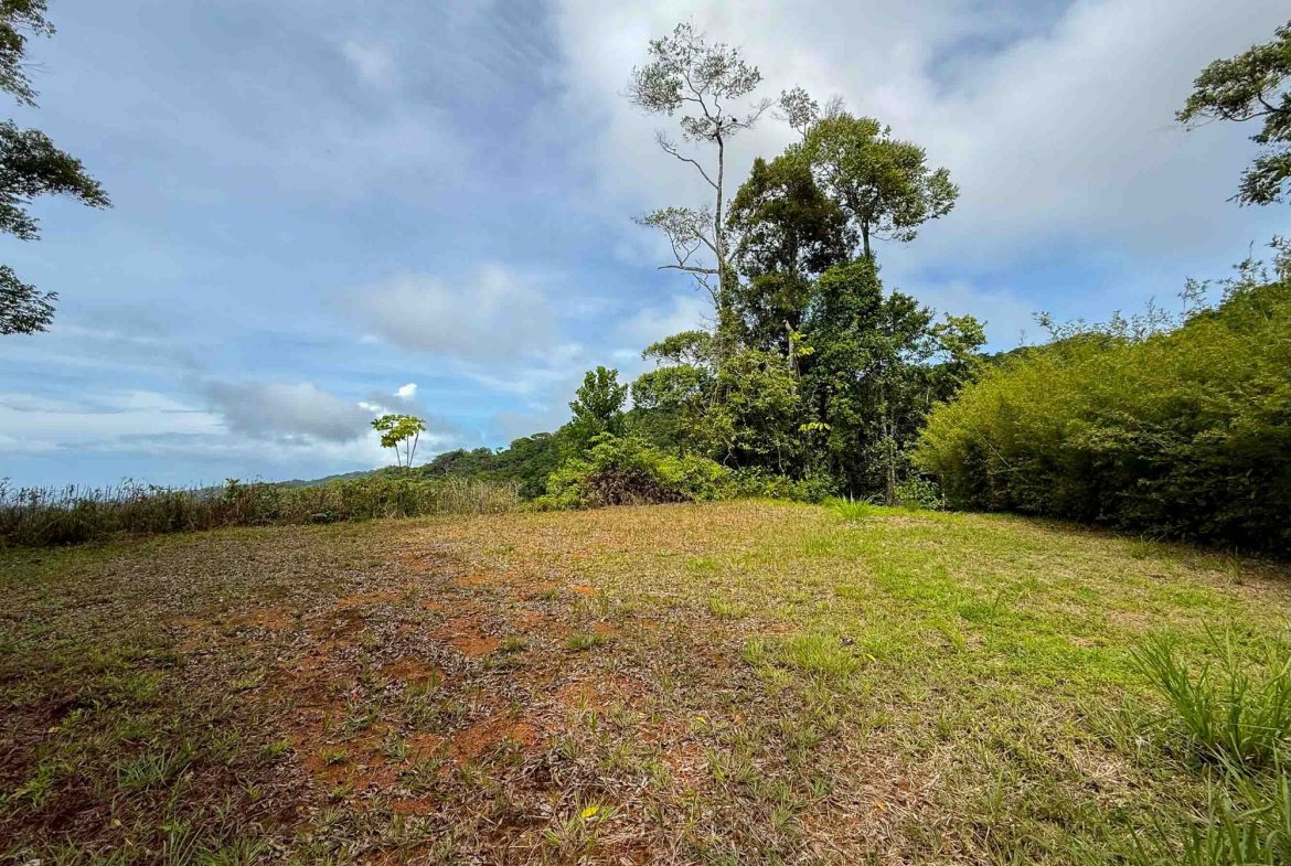 JUNGLE PROPERTY WITH MOUNTAIN VIEWS, IN DOMINICALITO – 1.2 ACRES