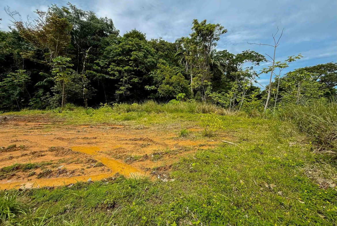 JUNGLE PROPERTY WITH MOUNTAIN VIEWS, IN DOMINICALITO – 1.2 ACRES