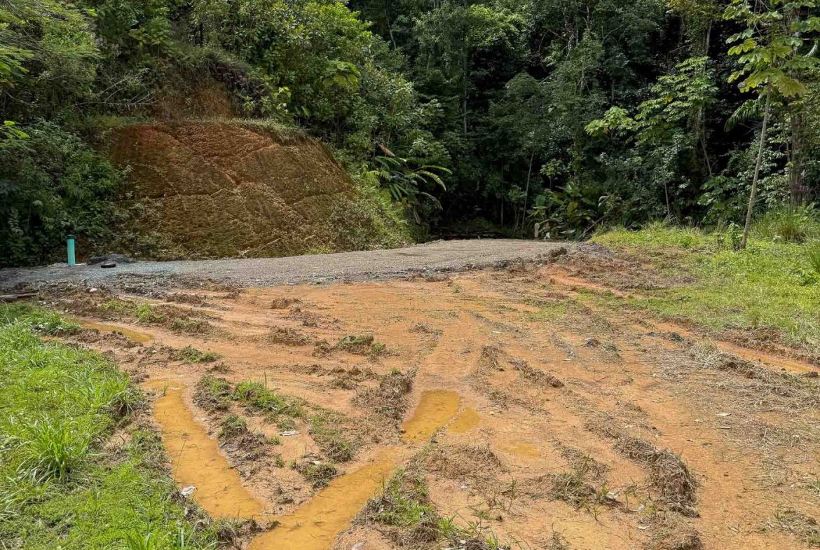 JUNGLE PROPERTY WITH MOUNTAIN VIEWS, IN DOMINICALITO – 1.2 ACRES