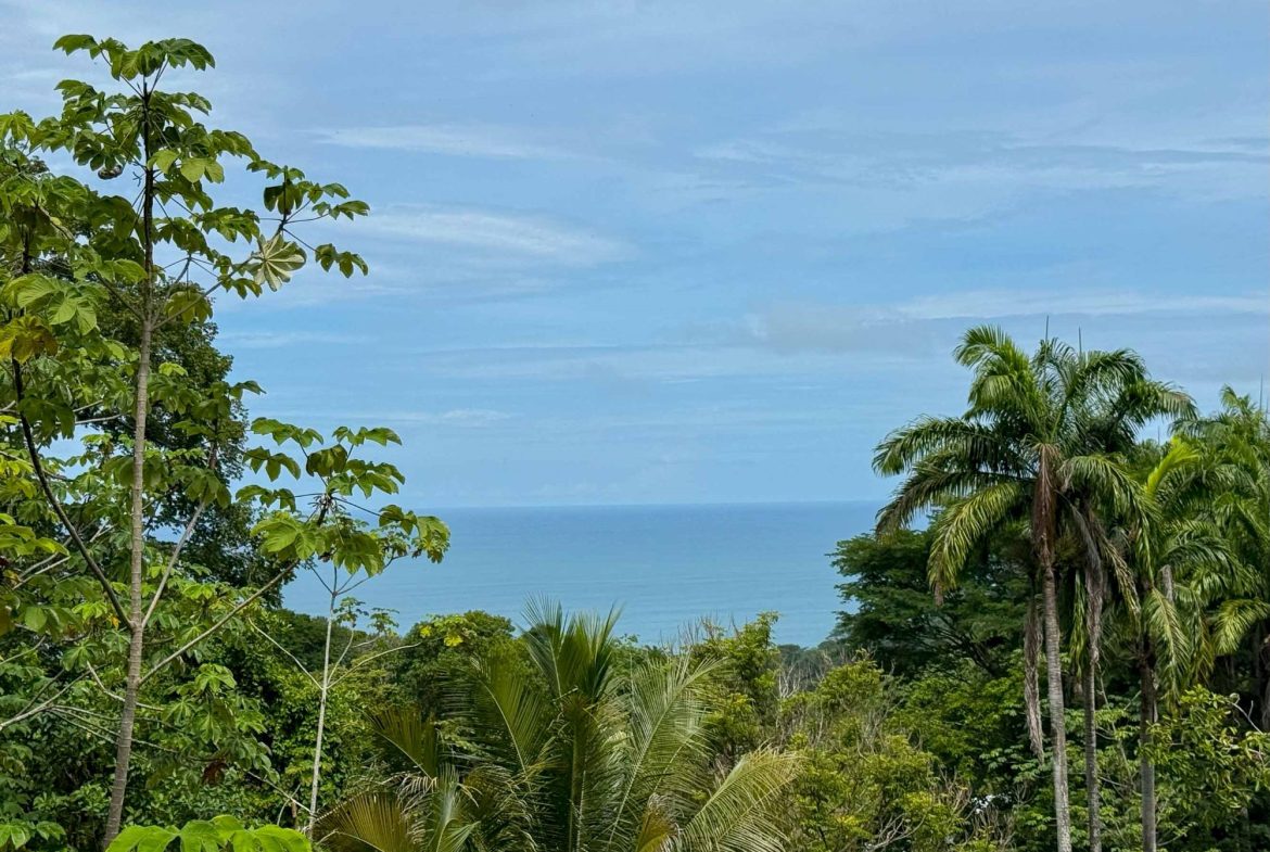 JUNGLE PROPERTY WITH MOUNTAIN VIEWS, IN DOMINICALITO – 1.2 ACRES