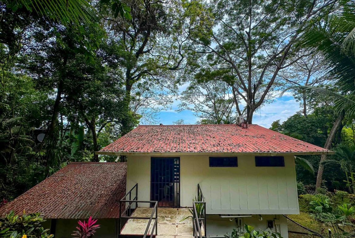 JUNGLE PROPERTY WITH OCEAN VIEW, IN MANUEL ANTONIO – 0.7 ACRES, Uvita, Costa Rica — photo 2