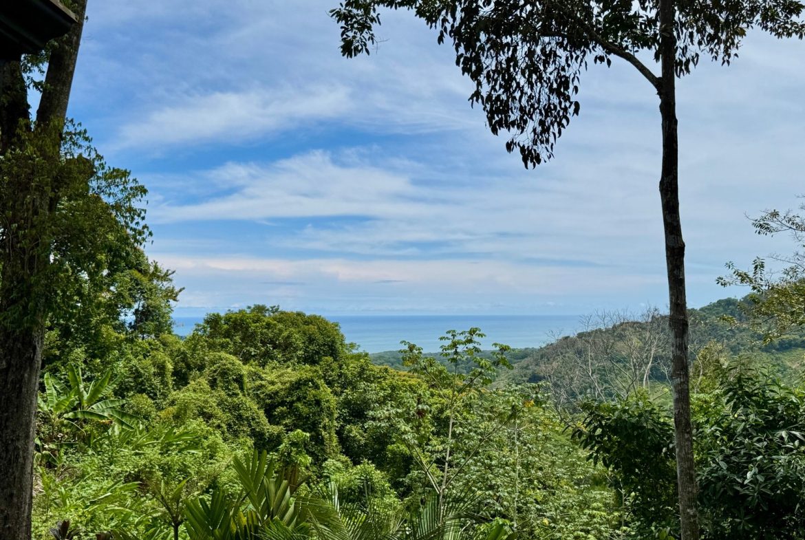 JUNGLE PROPERTY WITH THREE BEDROOM HOME, – IN LAGUNAS 1.6 ACRES, Uvita, Costa Rica — photo 5