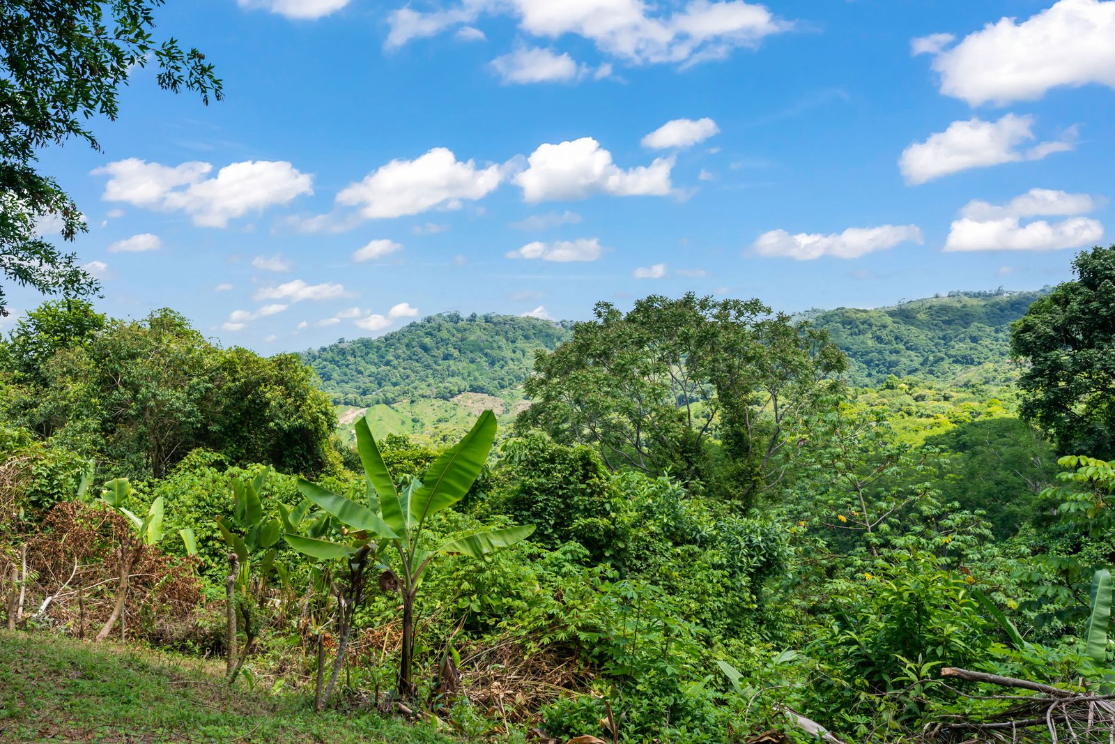 Lagunas-3-Bed-OV-Mountain-Home_31-1