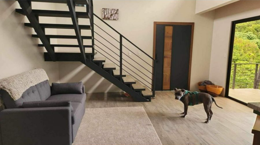 Modern country house with guest cottage amidst a coffee plantation in Perez Zeledon Costa Rica13