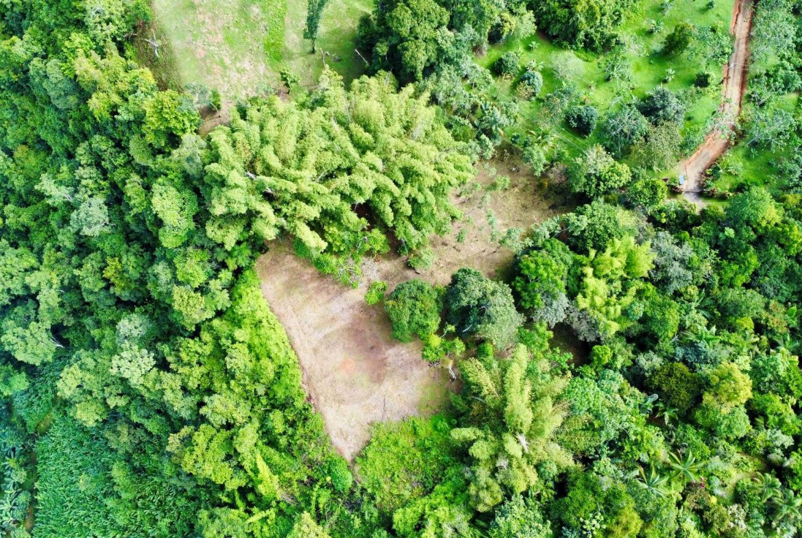 Photo 7-9-24, 8 25 50 AM