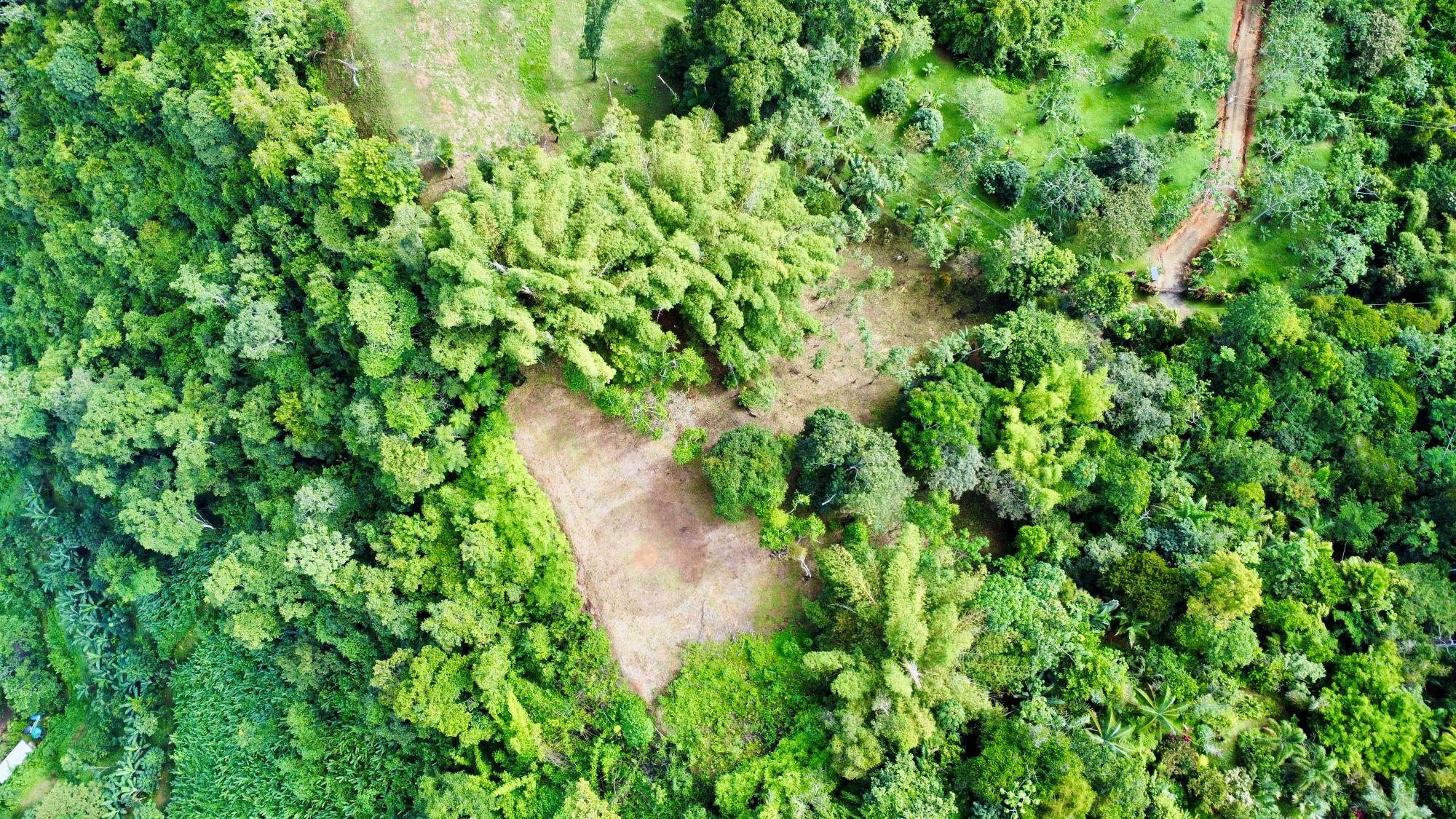 Photo 7-9-24, 8 25 50 AM