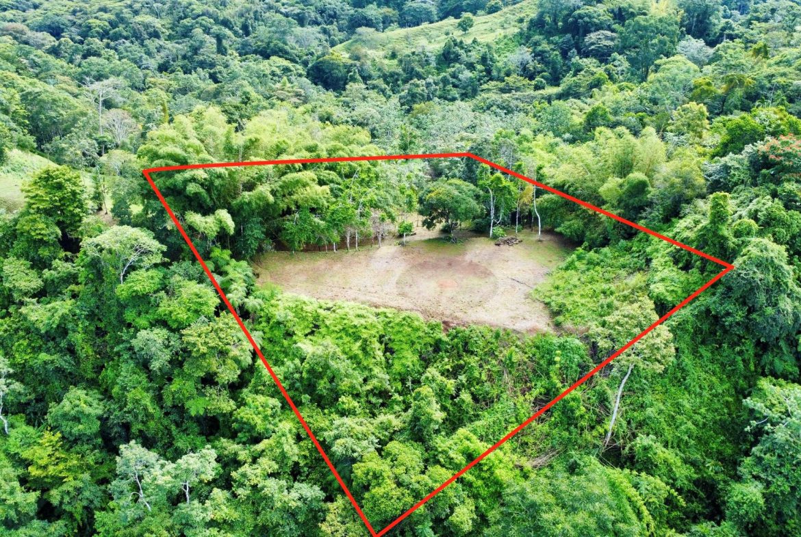 Photo 7-9-24, 8 26 28 AM