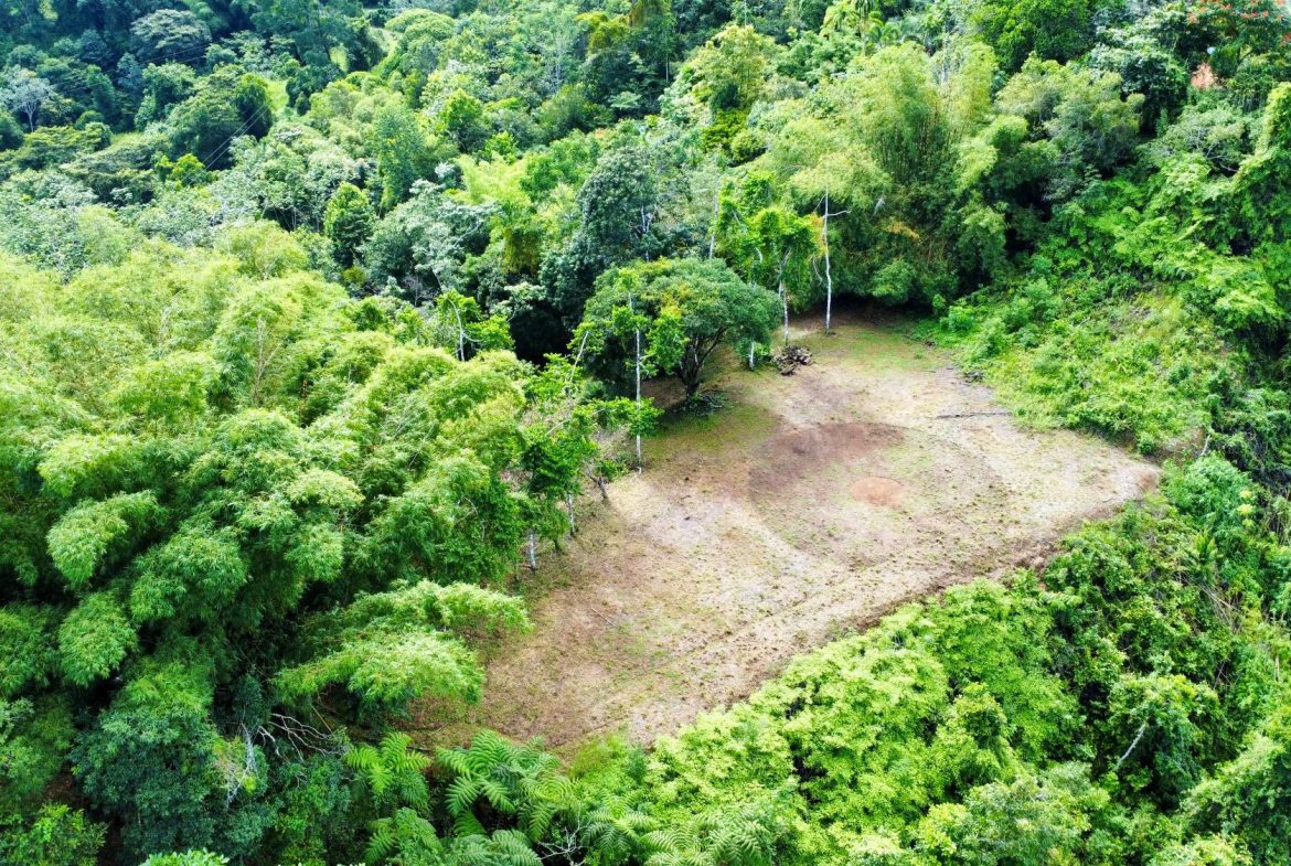 Photo 7-9-24, 8 28 40 AM