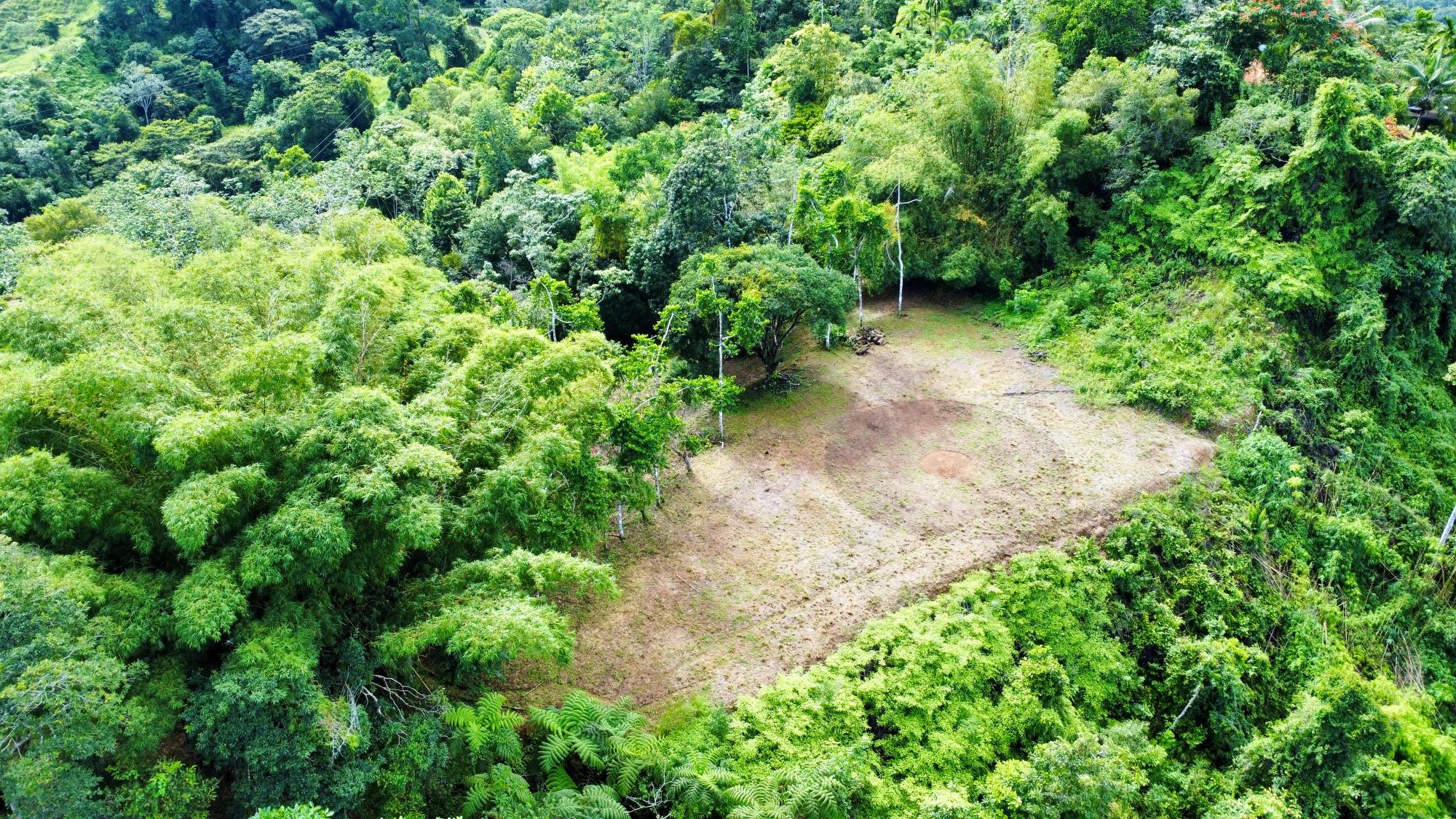 Photo 7-9-24, 8 28 40 AM