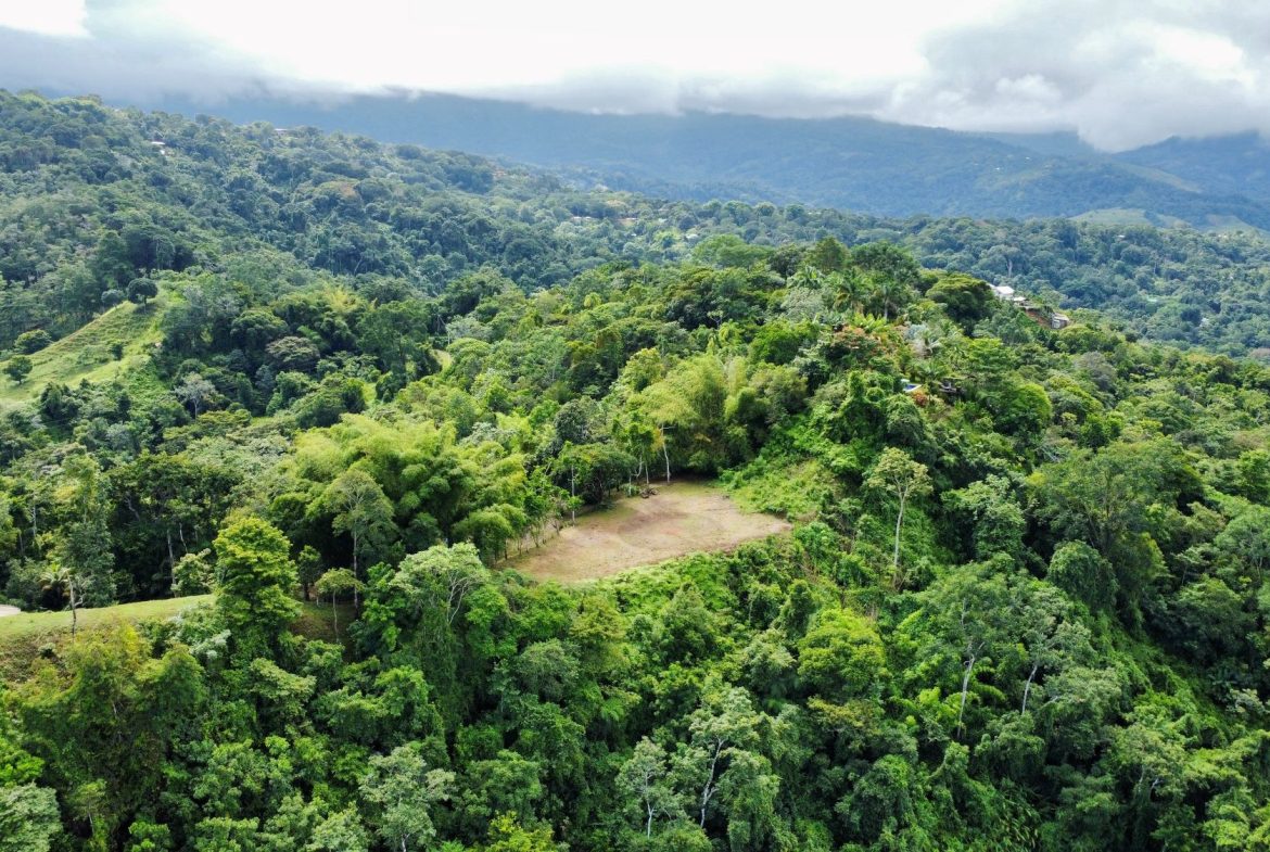 Photo 7-9-24, 8 28 55 AM