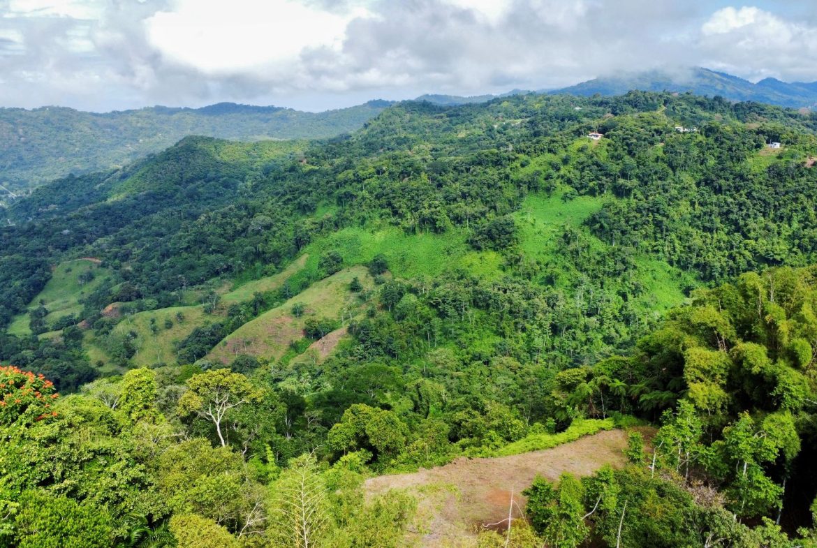 Photo 7-9-24, 8 31 19 AM