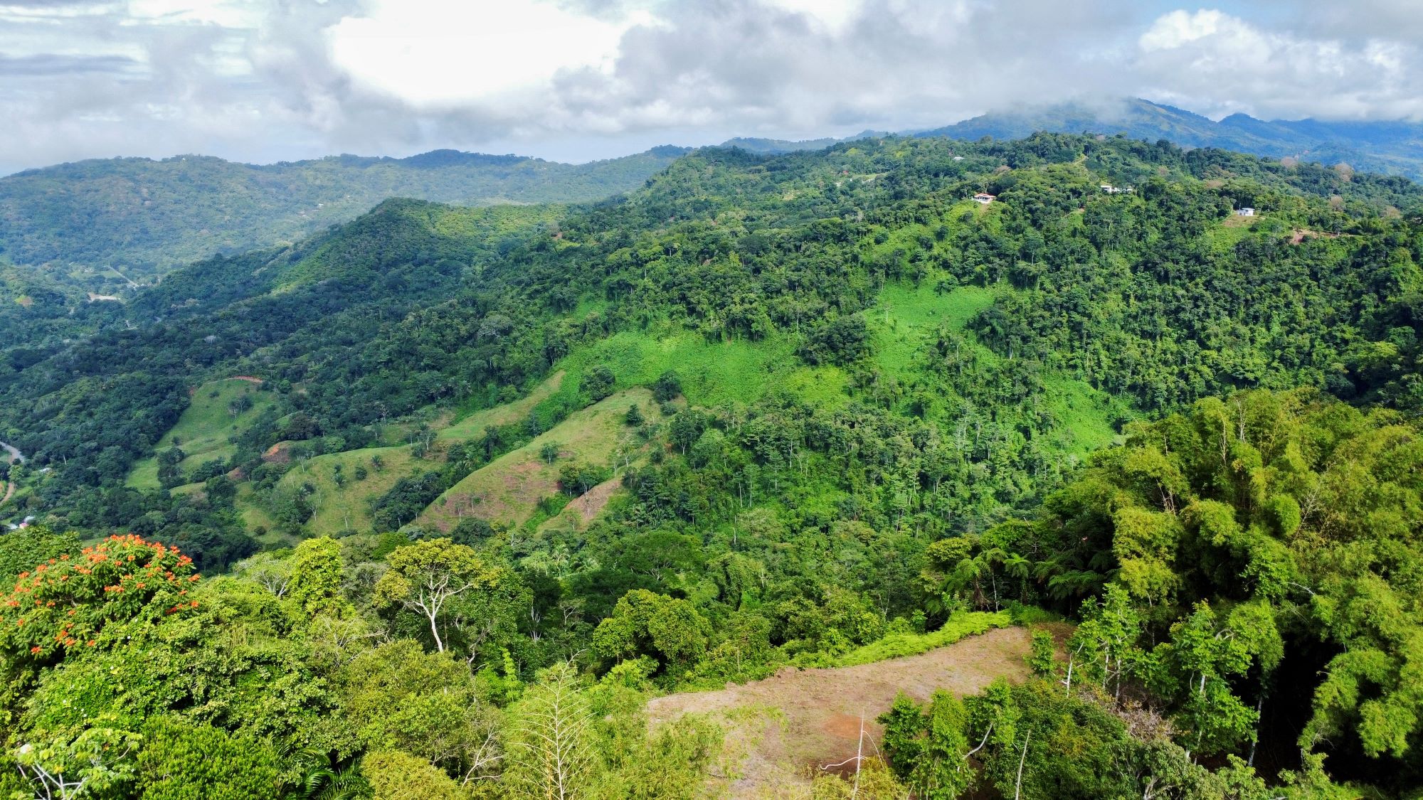 Photo 7-9-24, 8 31 19 AM