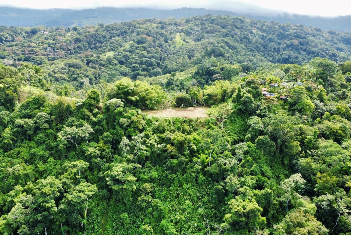 Photo 7-9-24, 8 32 47 AM