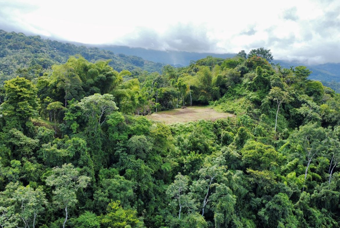 Photo 7-9-24, 8 35 09 AM