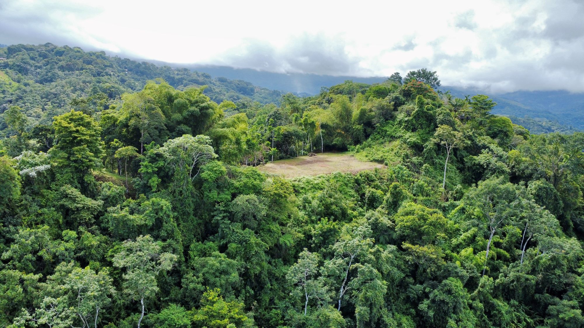 Photo 7-9-24, 8 35 09 AM