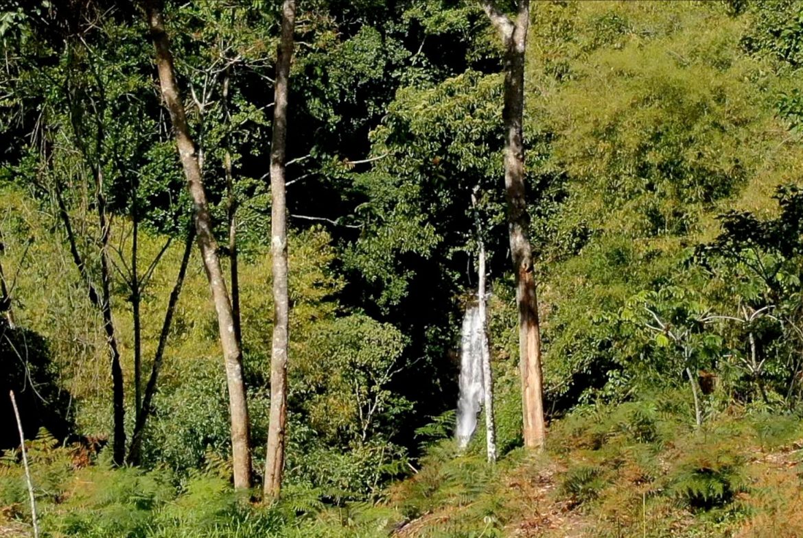 Development Opportunity in San Ramón Norte – 35 Acres with Infrastructure & Spectacular Views