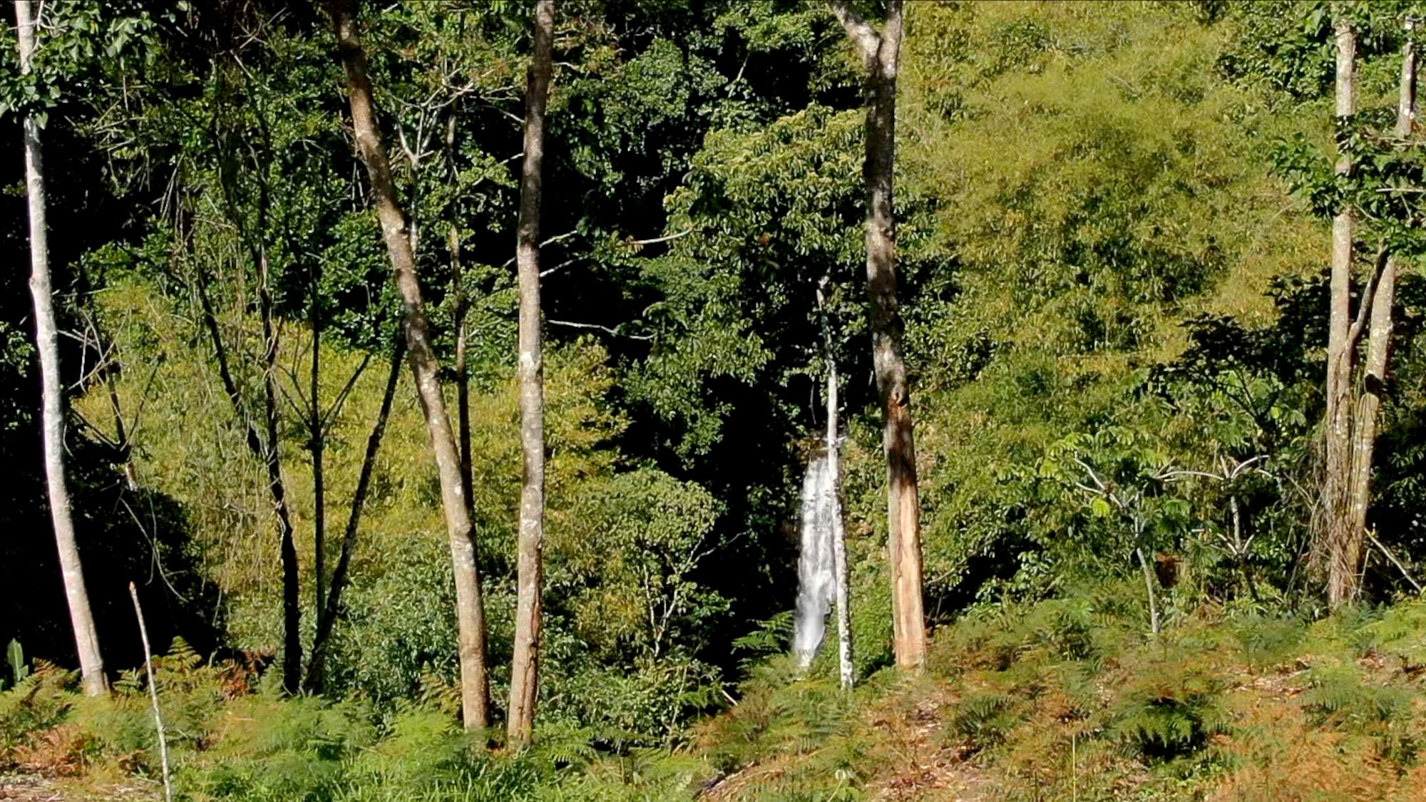 San Ramon norte project_14