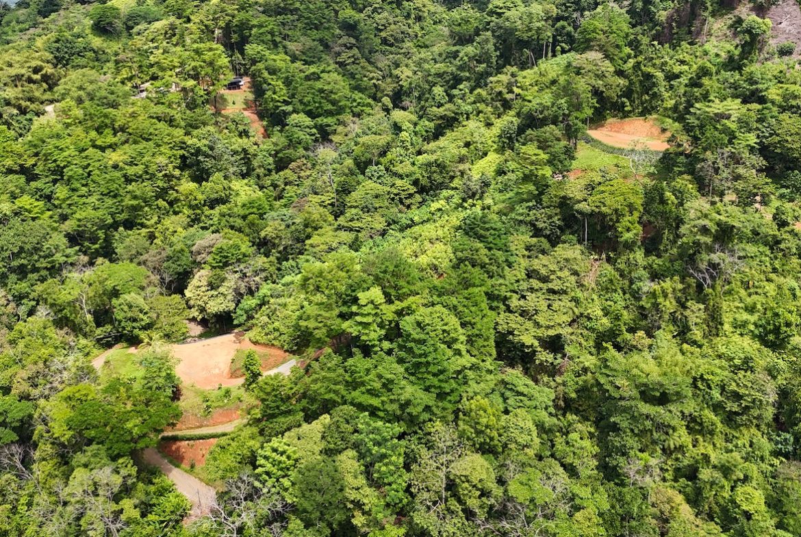 UVITA LAND WITH MULTIPLE BUILDING PADS – 25 ACRES