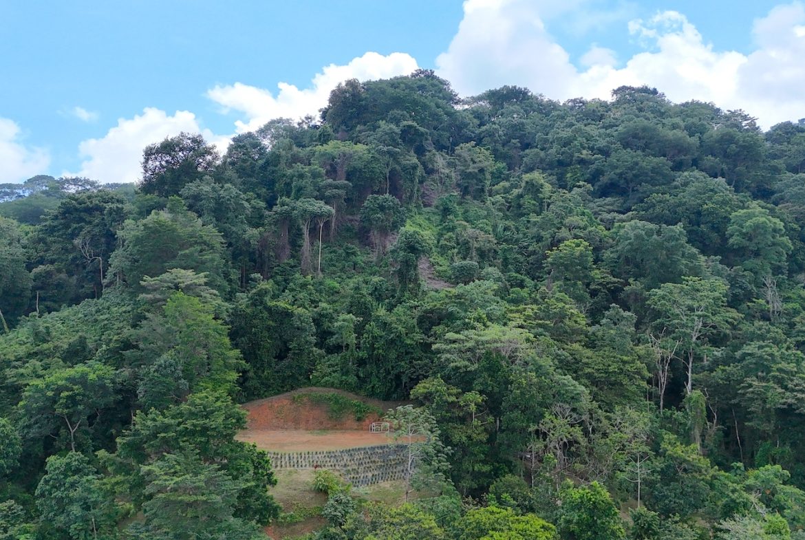 UVITA LAND WITH MULTIPLE BUILDING PADS – 25 ACRES