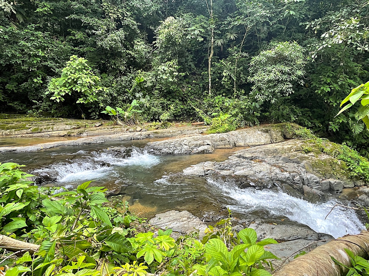 Uvita Land with Pads_11