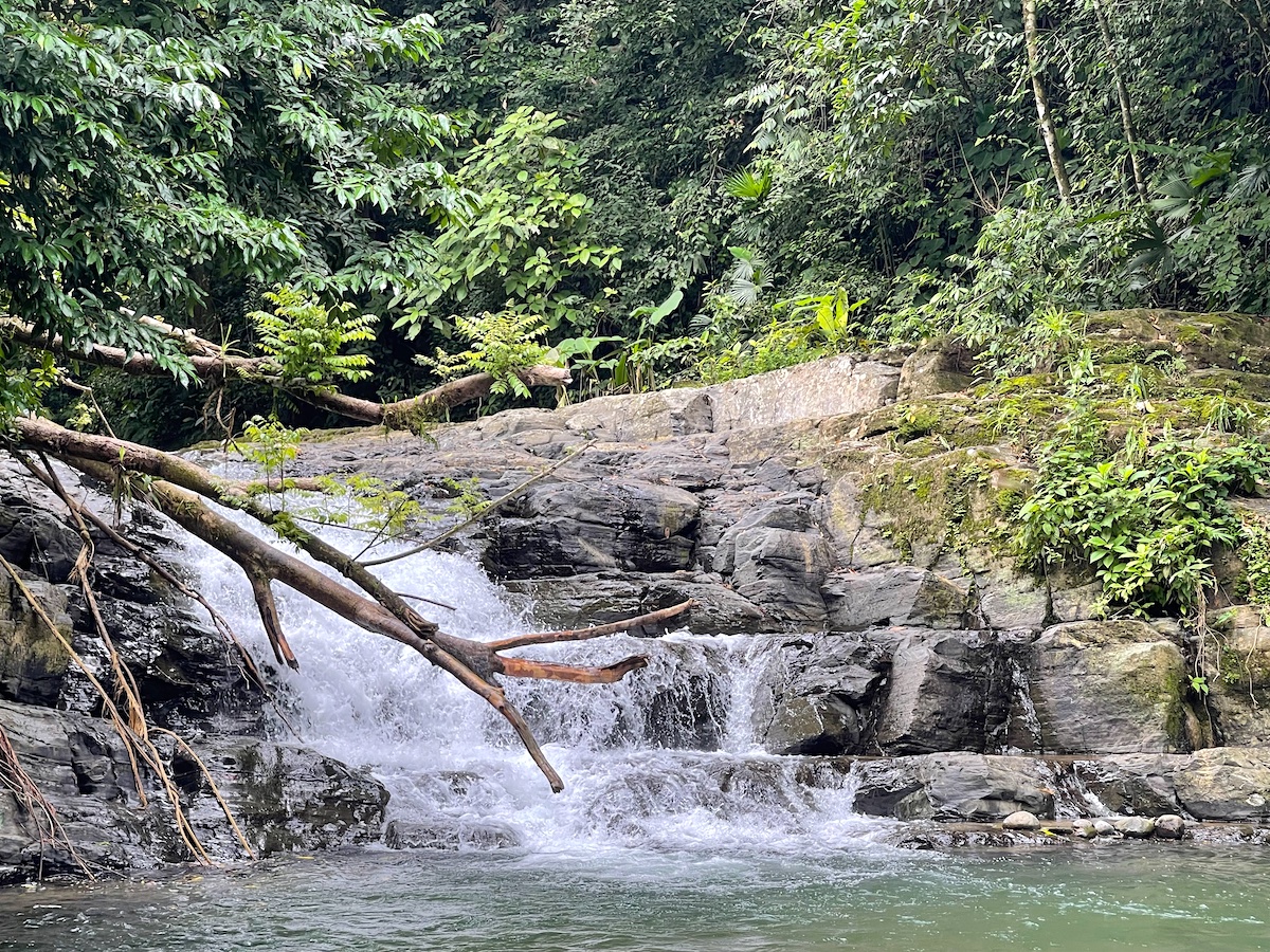 Uvita Land with Pads_12