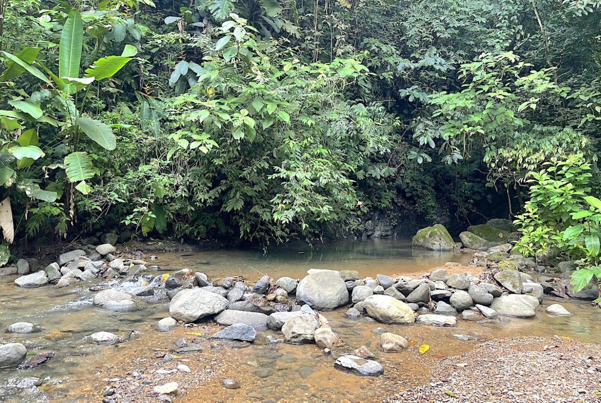 UVITA LAND WITH MULTIPLE BUILDING PADS – 25 ACRES