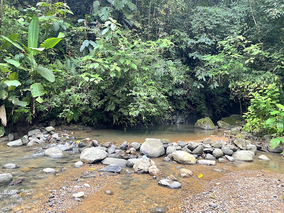 Uvita Land with Pads_13