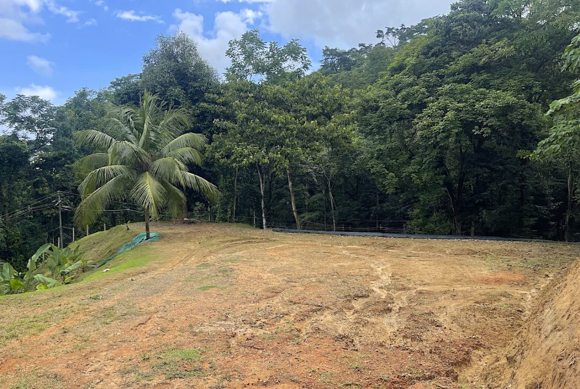 UVITA LAND WITH MULTIPLE BUILDING PADS – 25 ACRES