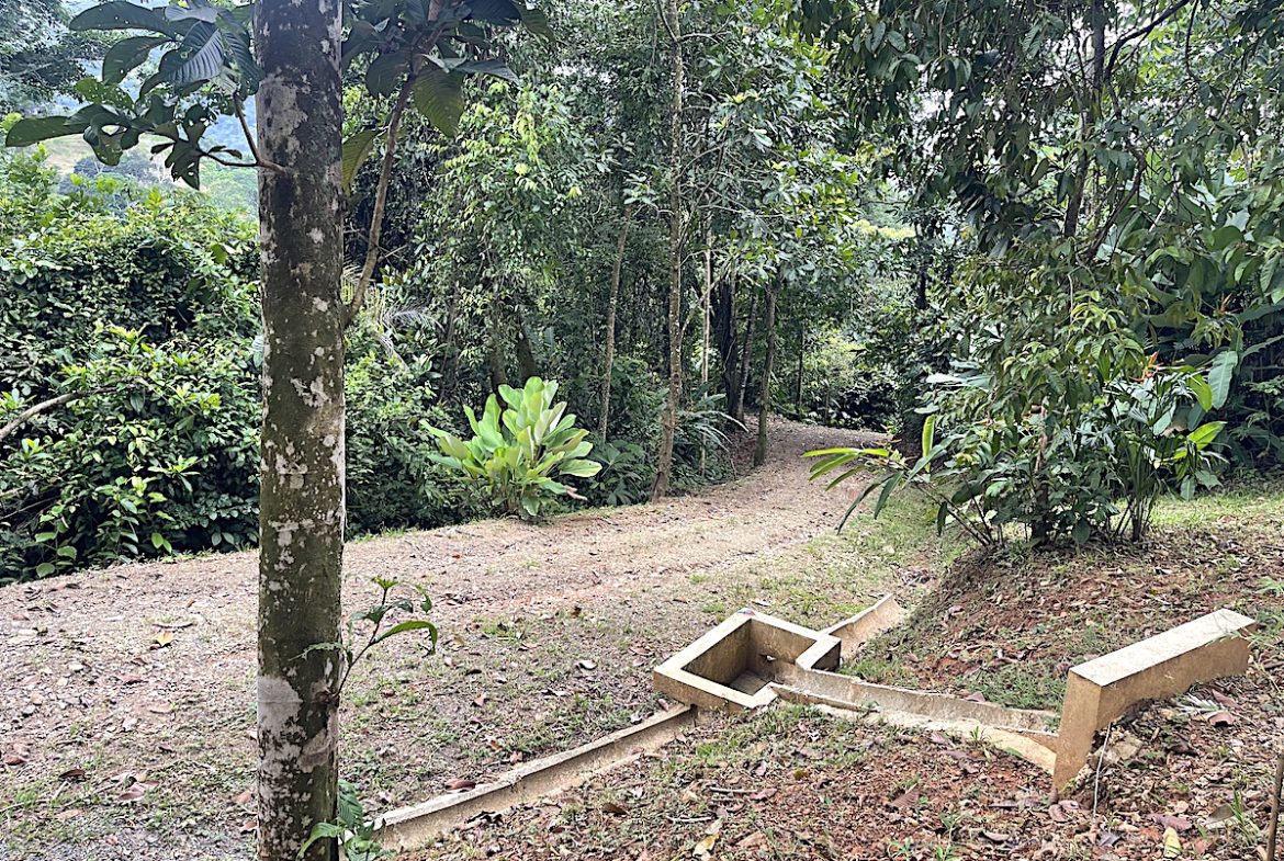 UVITA LAND WITH MULTIPLE BUILDING PADS – 25 ACRES