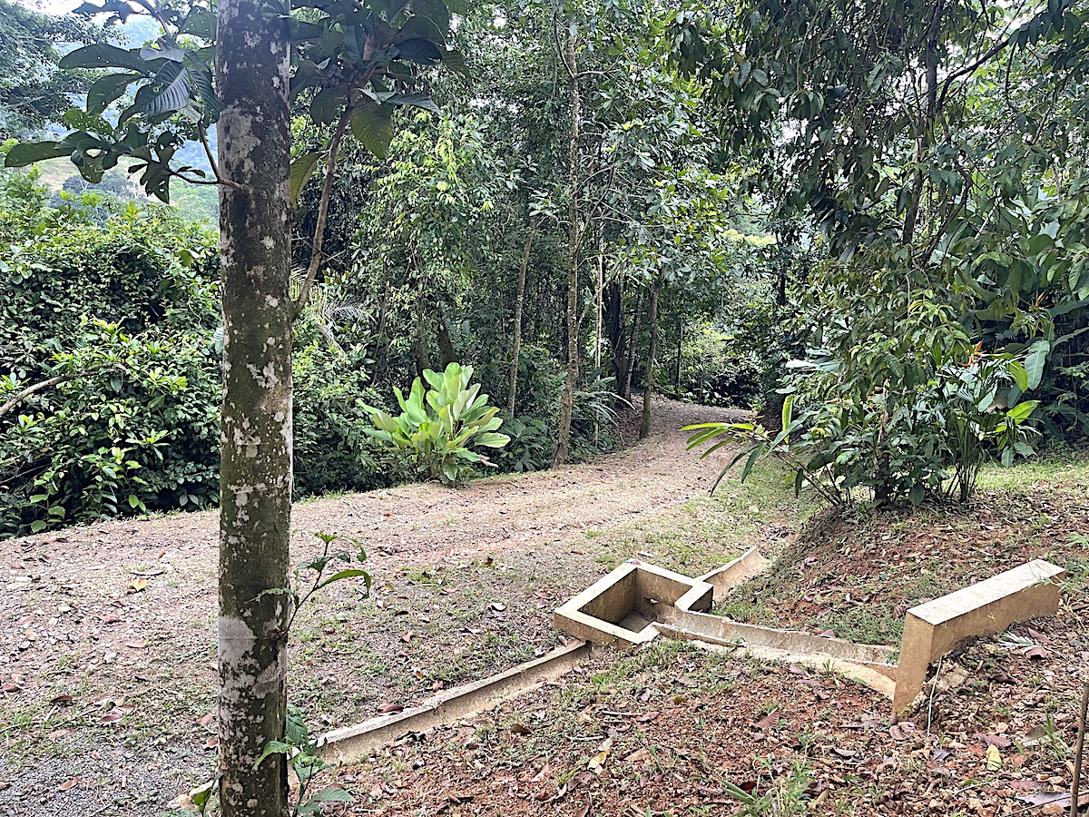 Uvita Land with Pads_15