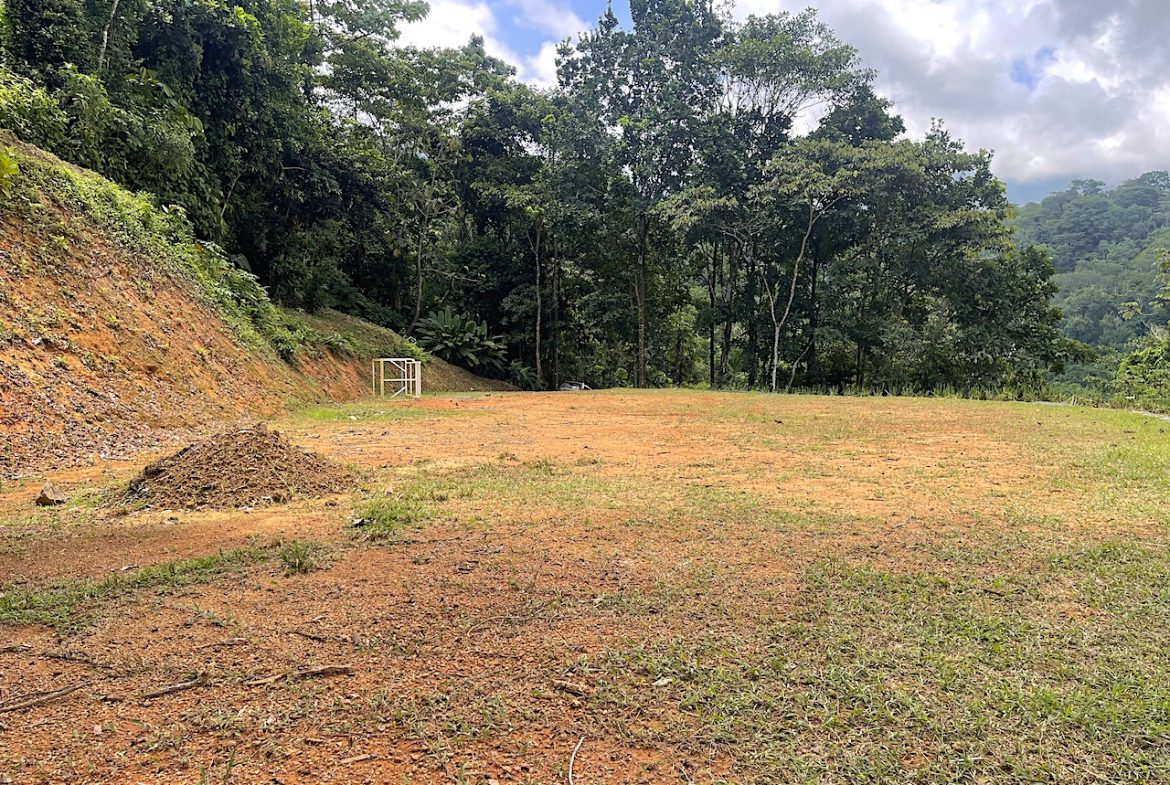 UVITA LAND WITH MULTIPLE BUILDING PADS – 25 ACRES
