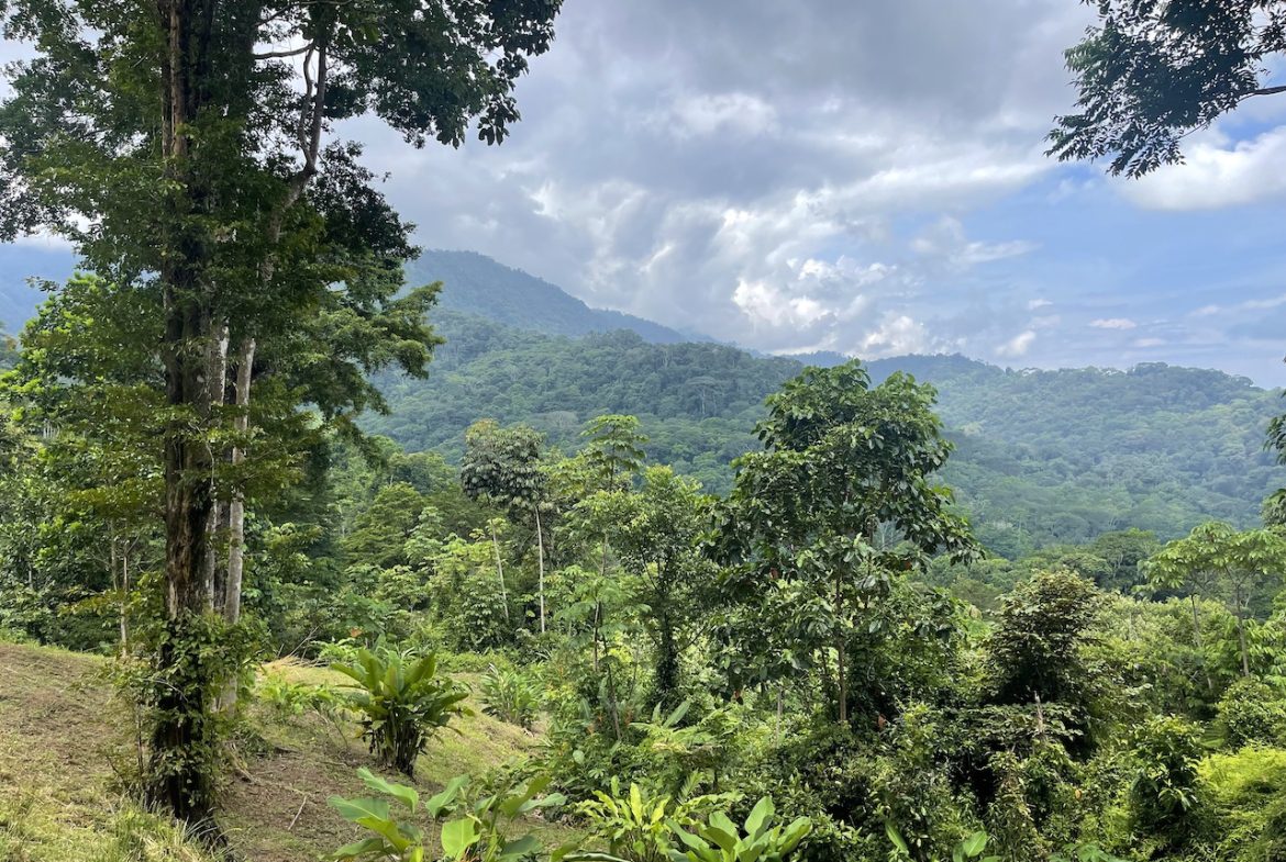 UVITA LAND WITH MULTIPLE BUILDING PADS – 25 ACRES