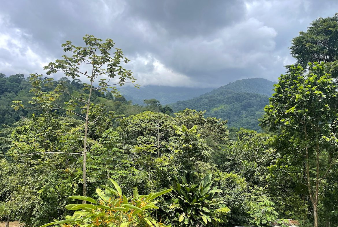 UVITA LAND WITH MULTIPLE BUILDING PADS – 25 ACRES