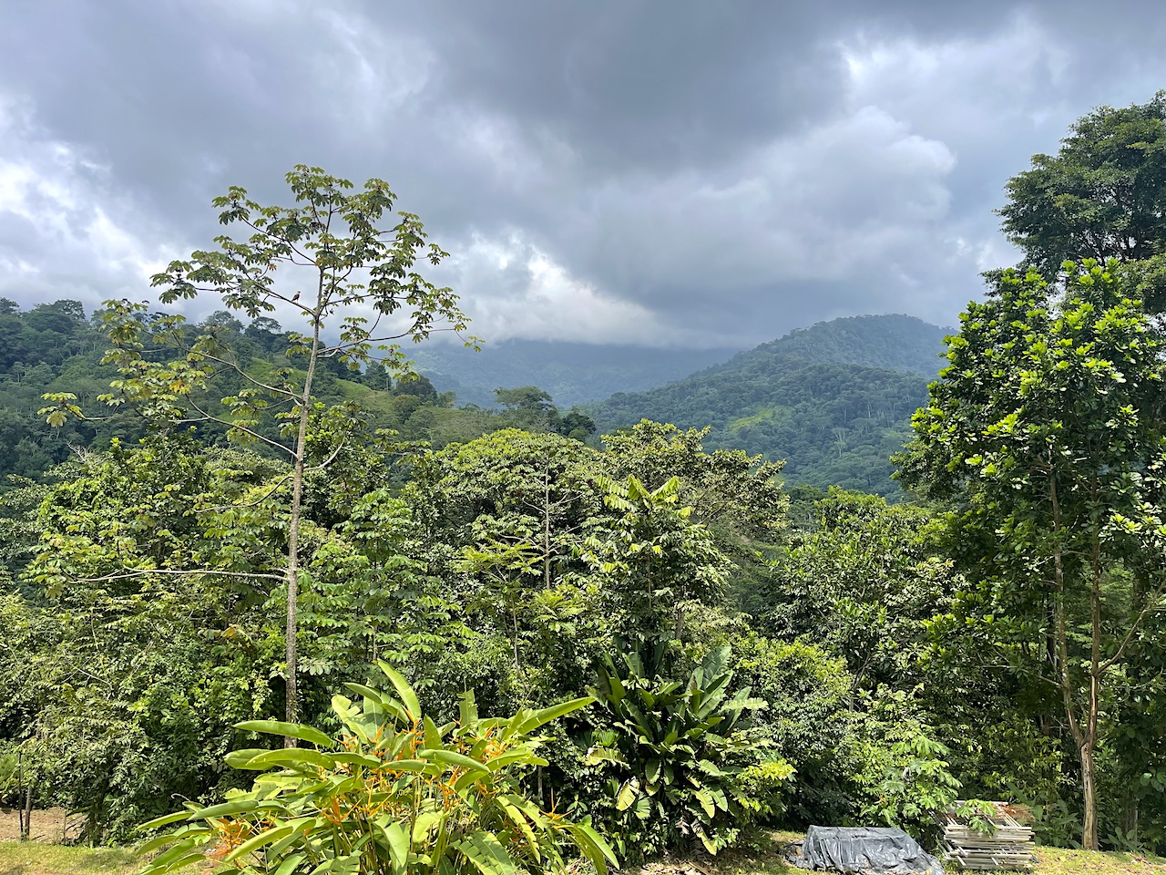 Uvita Land with Pads_21