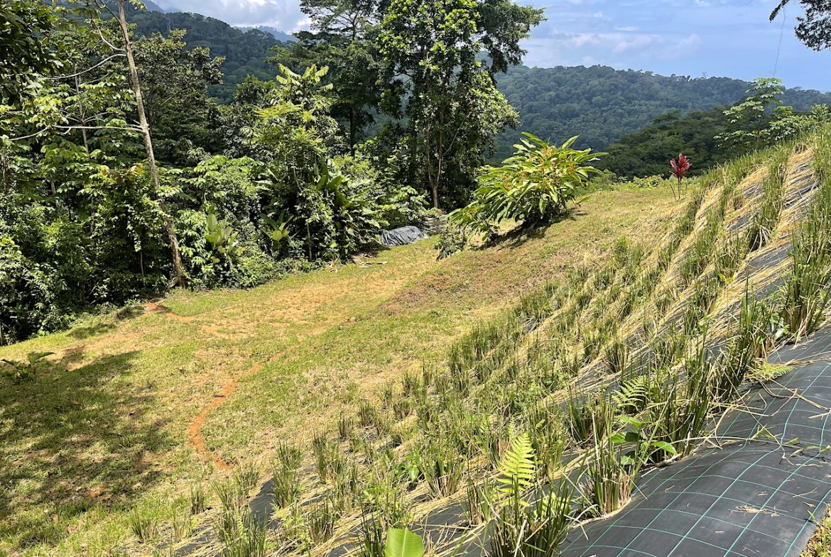 UVITA LAND WITH MULTIPLE BUILDING PADS – 25 ACRES