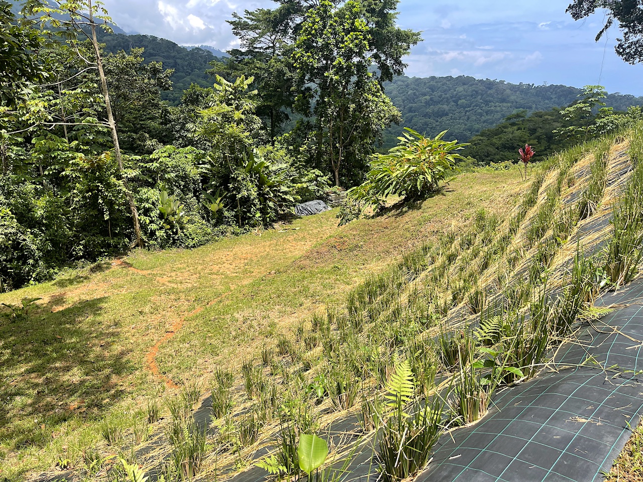 Uvita Land with Pads_22