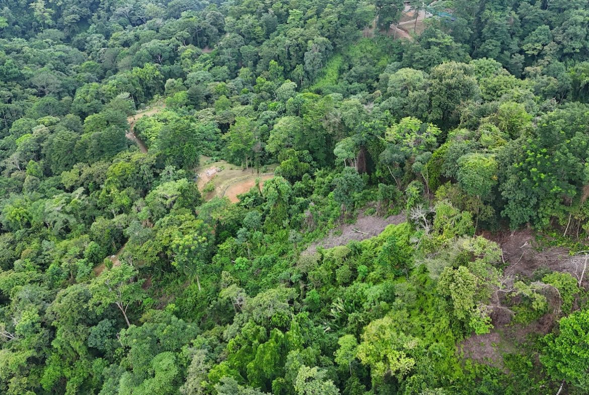UVITA LAND WITH MULTIPLE BUILDING PADS – 25 ACRES