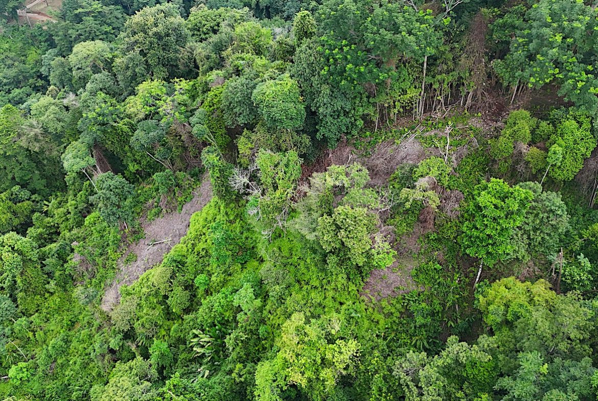 UVITA LAND WITH MULTIPLE BUILDING PADS – 25 ACRES