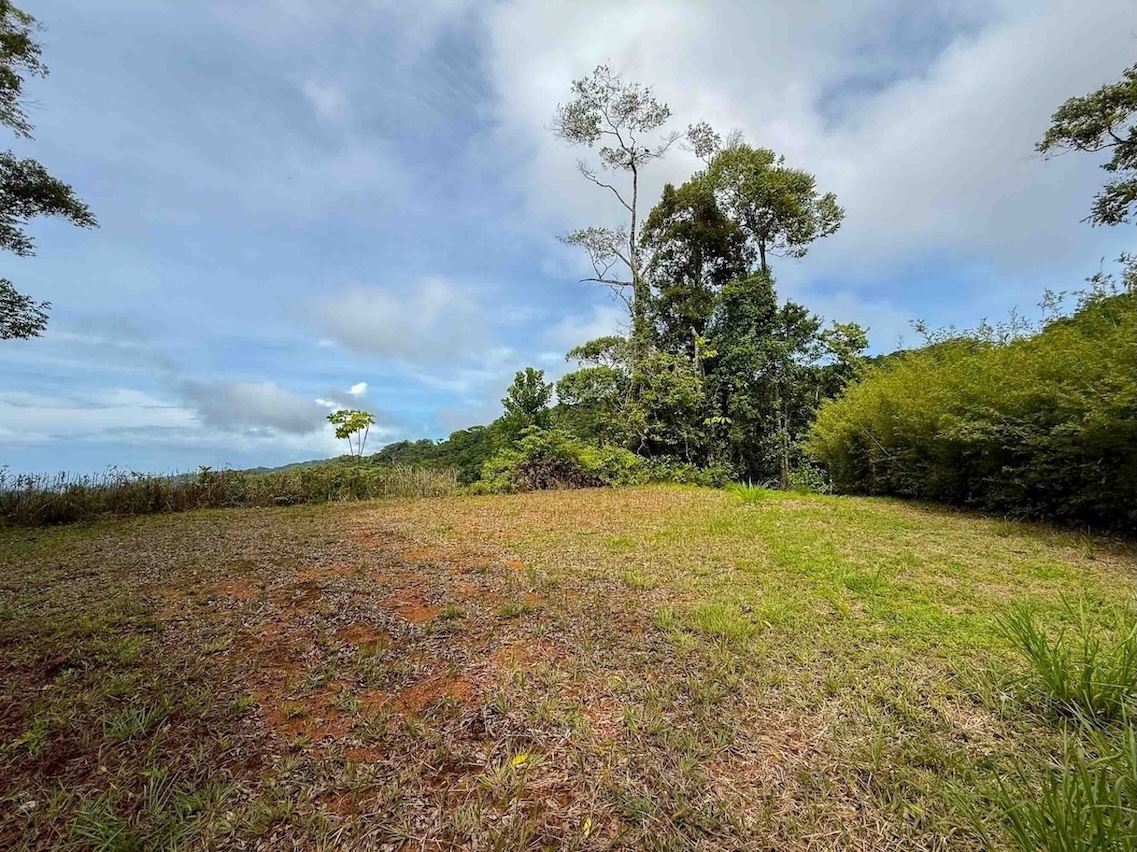 d9f5da4f-f8dd-4140-822d-b0ee40b5103f JUNGLE PROPERTY WITH MOUNTAIN VIEWS, IN DOMINICALITO – 1.2 ACRES