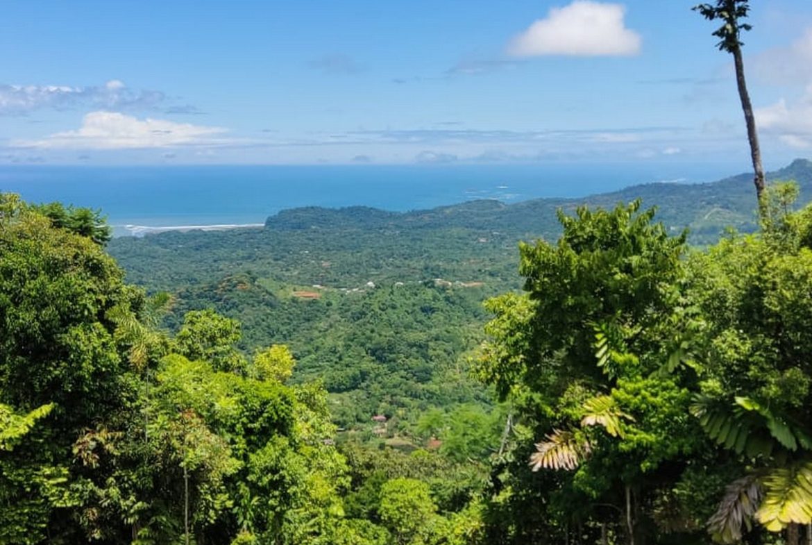 PROPERTY WITH MOUNTAIN VIEW, IN TRES RIOS – 66.7 ACRES