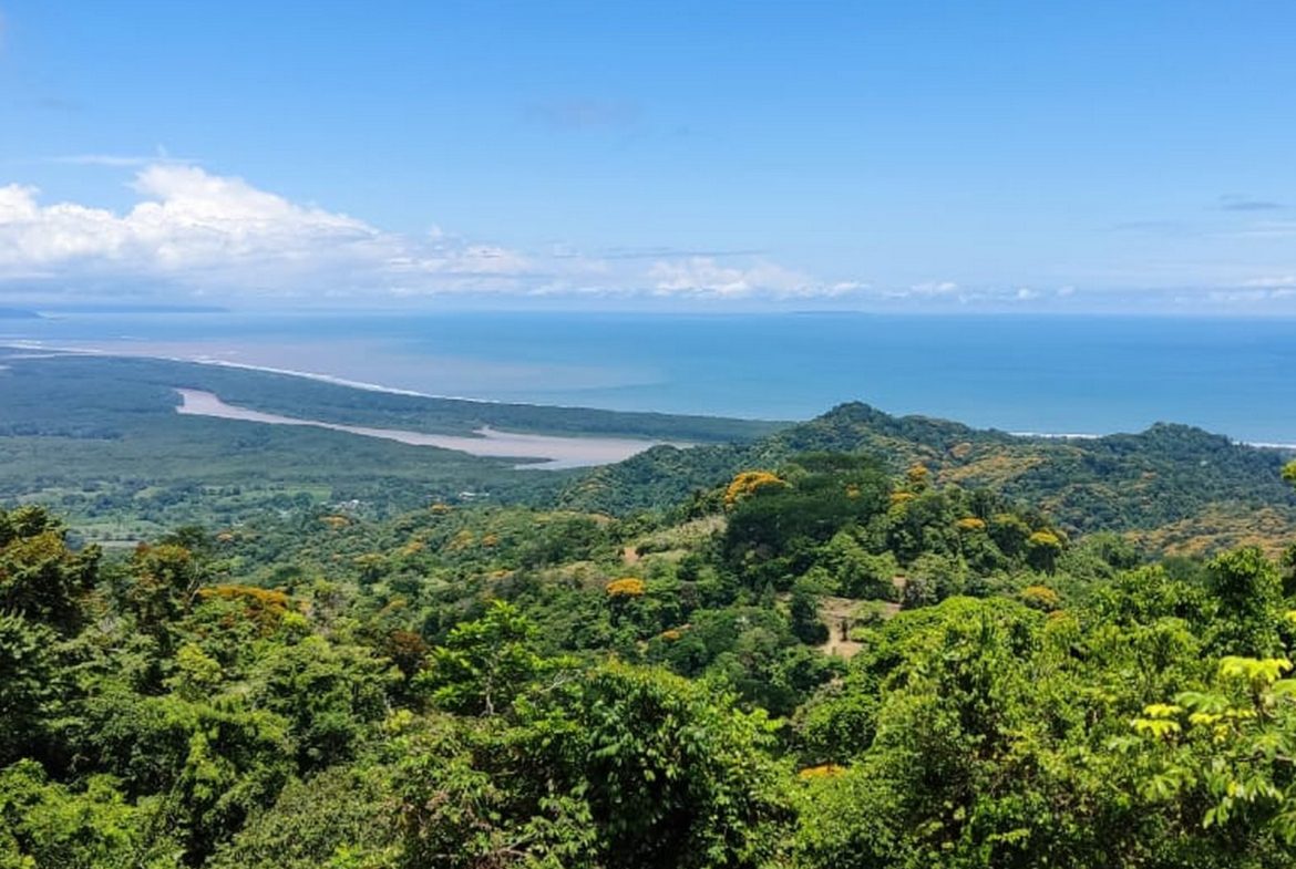 PROPERTY WITH MOUNTAIN VIEW, IN TRES RIOS – 66.7 ACRES