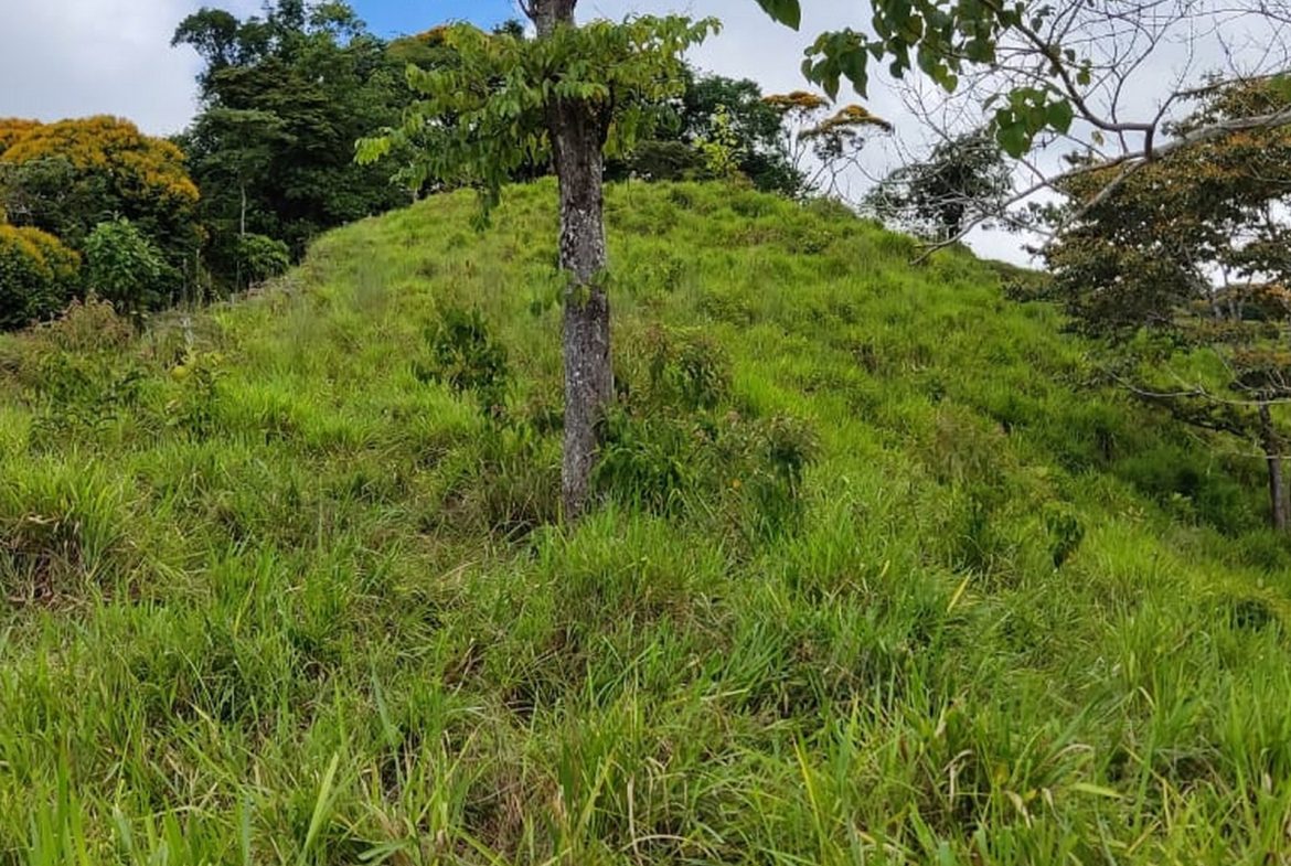PROPERTY WITH MOUNTAIN VIEW, IN TRES RIOS – 66.7 ACRES