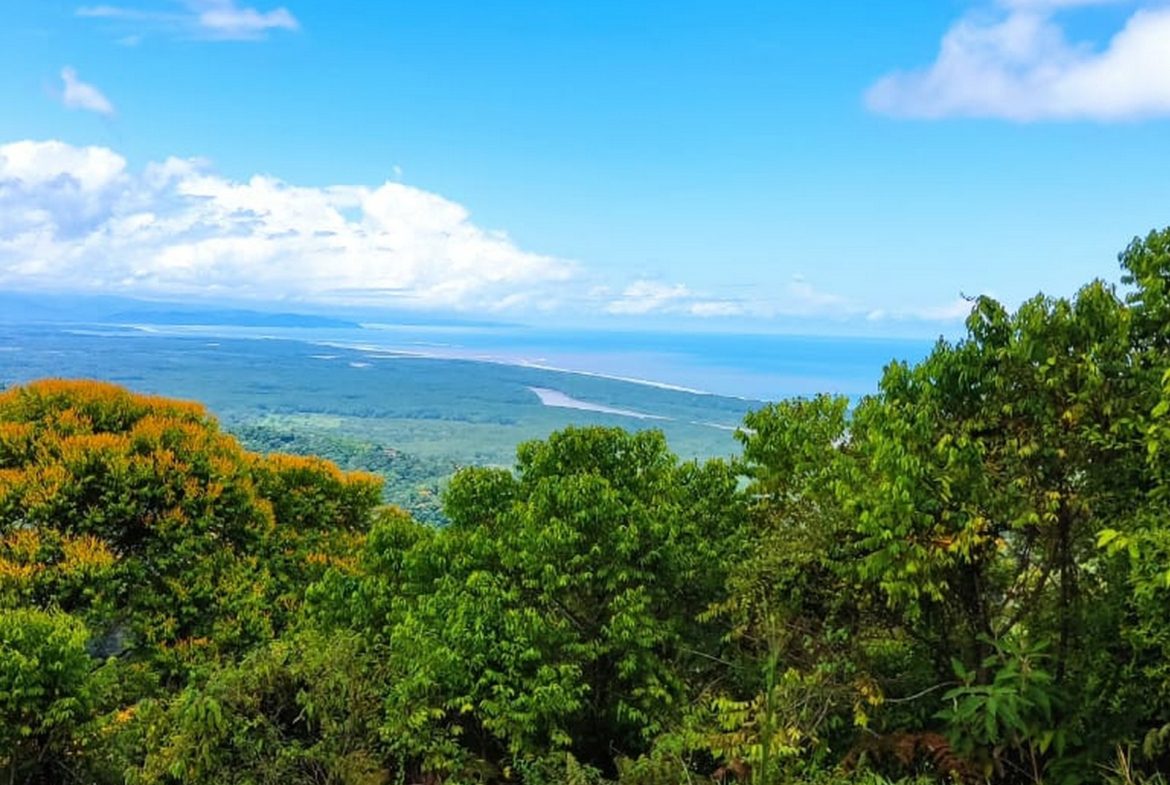 PROPERTY WITH MOUNTAIN VIEW, IN TRES RIOS – 66.7 ACRES