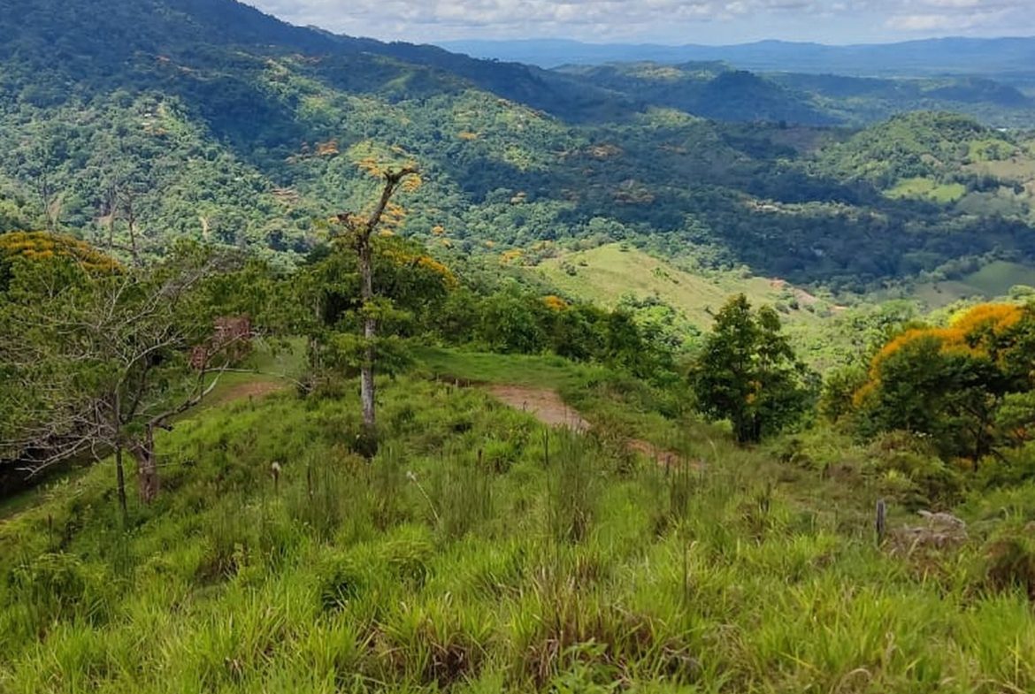 PROPERTY WITH MOUNTAIN VIEW, IN TRES RIOS – 66.7 ACRES