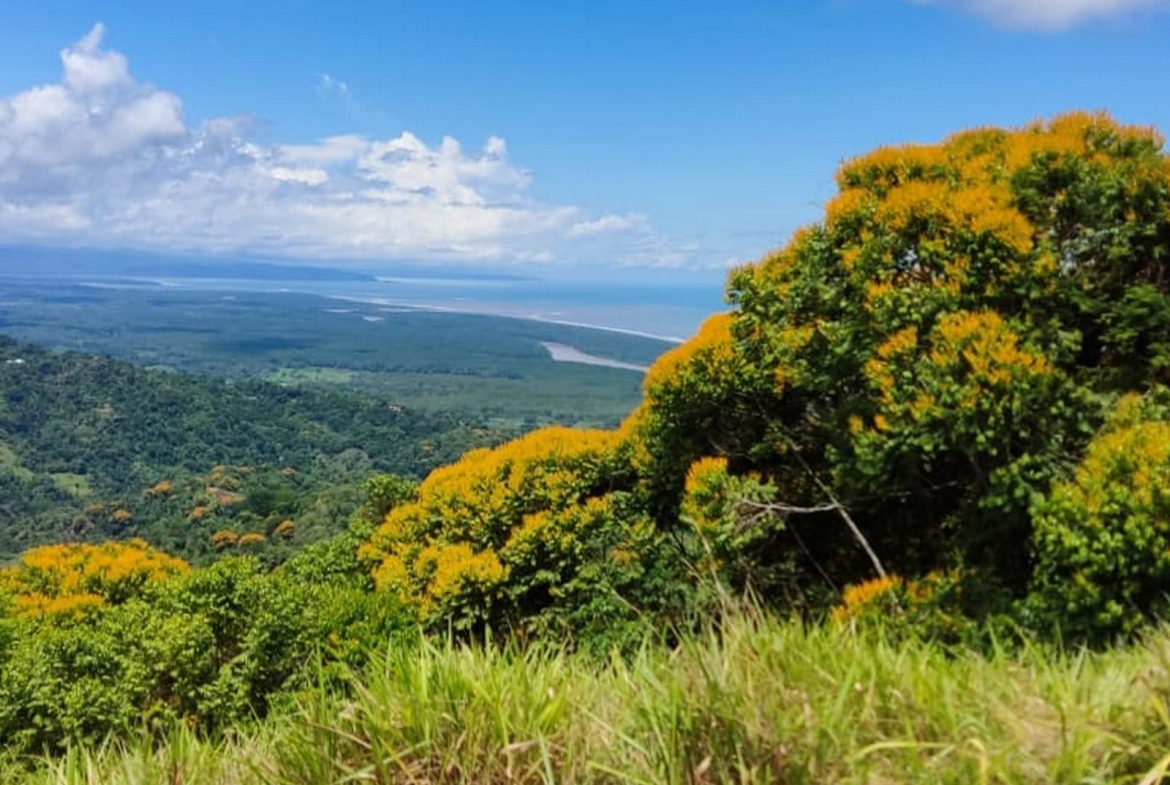 PROPERTY WITH MOUNTAIN VIEW, IN TRES RIOS – 66.7 ACRES