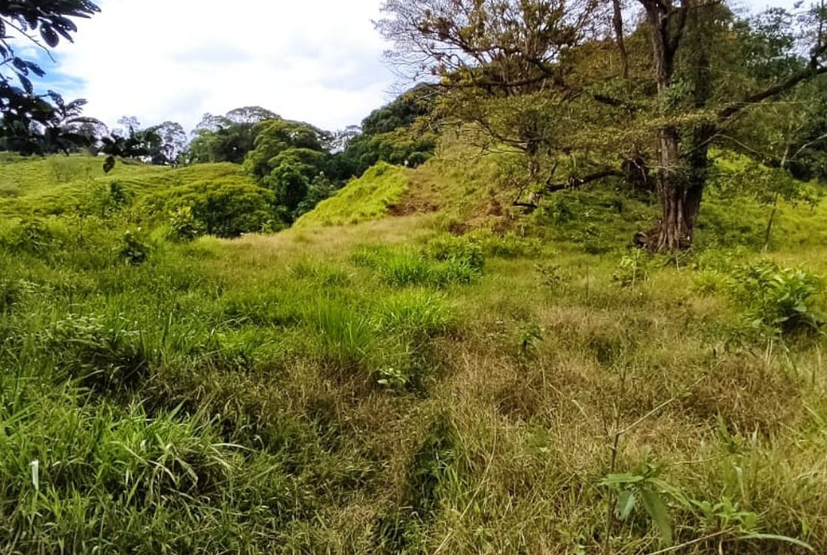 PROPERTY WITH MOUNTAIN VIEW, IN TRES RIOS – 66.7 ACRES