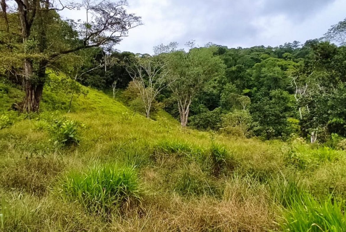 PROPERTY WITH MOUNTAIN VIEW, IN TRES RIOS – 66.7 ACRES