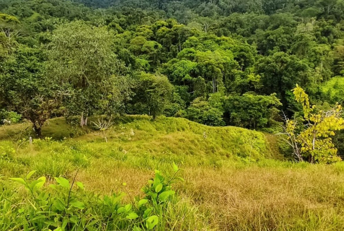 PROPERTY WITH MOUNTAIN VIEW, IN TRES RIOS – 66.7 ACRES