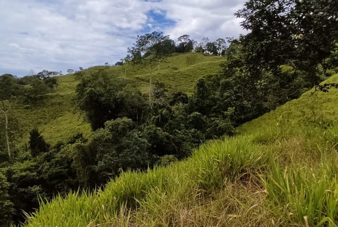 PROPERTY WITH MOUNTAIN VIEW, IN TRES RIOS – 66.7 ACRES