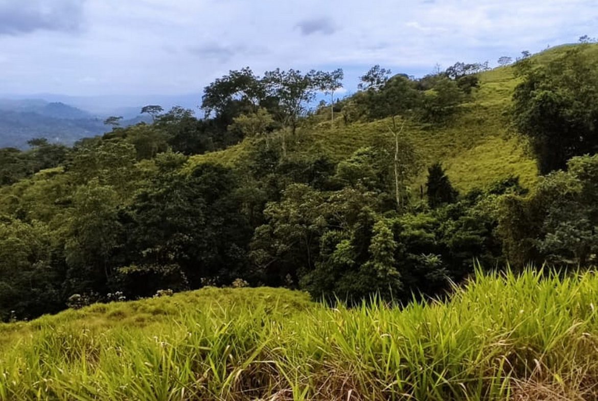 PROPERTY WITH MOUNTAIN VIEW, IN TRES RIOS – 66.7 ACRES